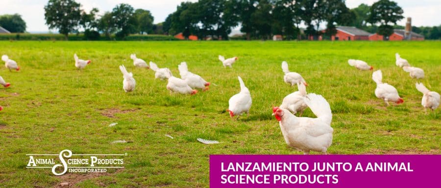 Lanzamiento de estabilizantes para vacunas aviares - Image 1