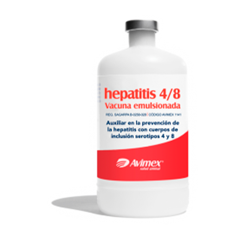 Hepatitis 4-8