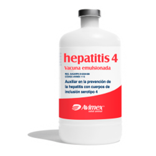 Hepatitis 4