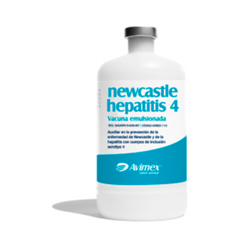 Newscatle Hepatitis 4