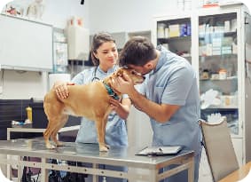 How can we help you?