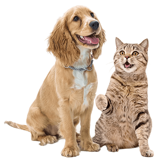 PetCom