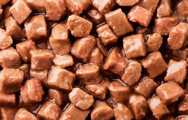Alimento húmedo para perros: beneficios, mitos y cómo combinarlo en su dieta diaria